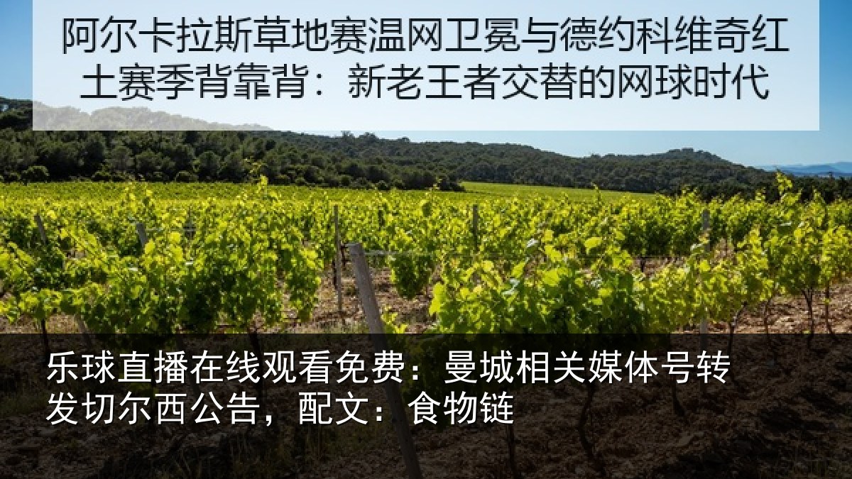 乐球直播在线观看免费：曼城相关情况尔西公告，配文：食物链
