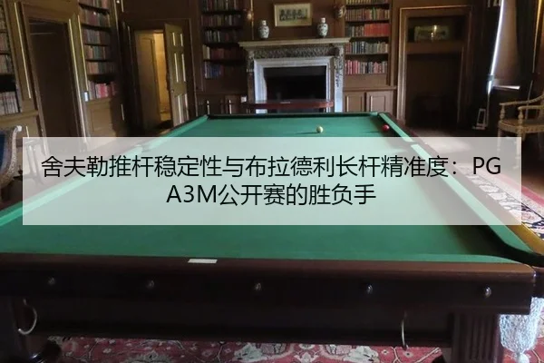 she-fu-lei-tui-gan-wen-ding-xing-yu-bu-la-de-li-zhang-gan-jing-zhun-du-gong-kai-sai-de-sheng-fu-shou-3-716.jpg