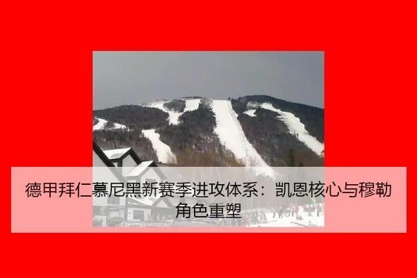 de-jia-bai-ren-mu-ni-hei-xin-sai-ji-jin-gong-ti-xi-kai-en-he-xin-yu-mu-lei-jue-se-zhong-su-2-615.jpg