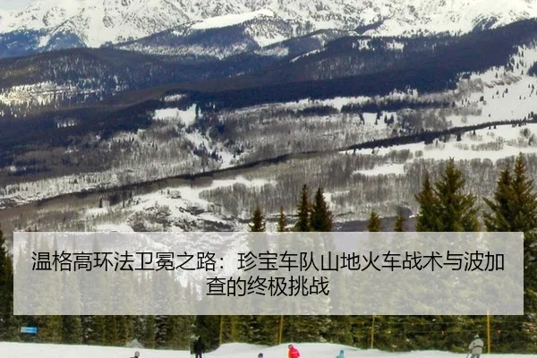 wen-ge-gao-huan-fa-wei-mian-zhi-lu-zhen-bao-che-dui-shan-di-huo-che-zhan-shu-yu-bo-jia-cha-de-zhong-ji-tiao-zhan-3-398.jpg